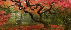 Beverly Hills Counselor Therapist