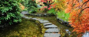 Burbank Counselor Therapist