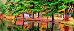 Cupertino Counselor Therapist