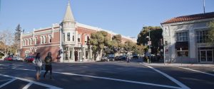 Los Gatos Counselor Therapist