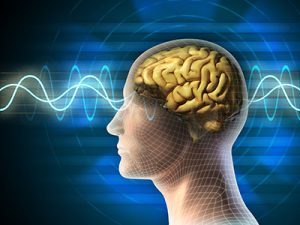 Therapist Counselor Brain