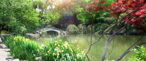 San Mateo Counselor Therapist