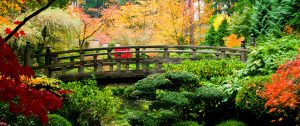 San Ramon Counselor Therapist