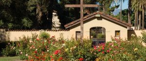 Santa Clara Counselor Therapist