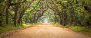 Scotts Valley Counseling and Psychotherapy