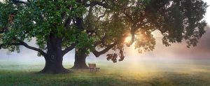 Sunnyvale Counseling and Psychotherapy