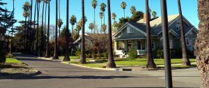 Willow Glen Counselor Therapist